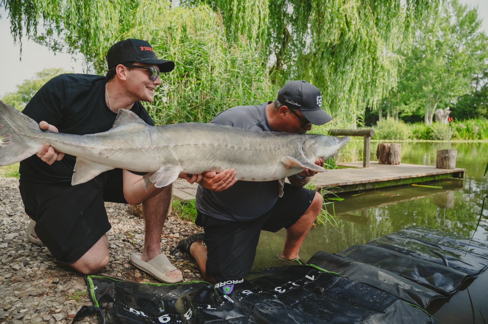 Two anglers showing a large sturgeon catch at Poppelsøen